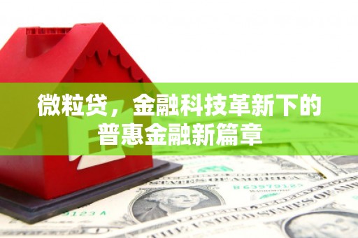 万全微粒贷，金融科技革新下的普惠金融新篇章