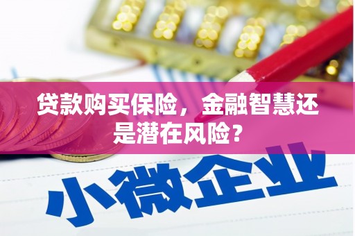 万全贷款购买保险，金融智慧还是潜在风险？