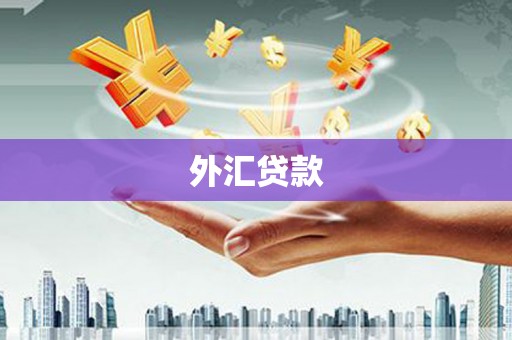 万全外汇贷款