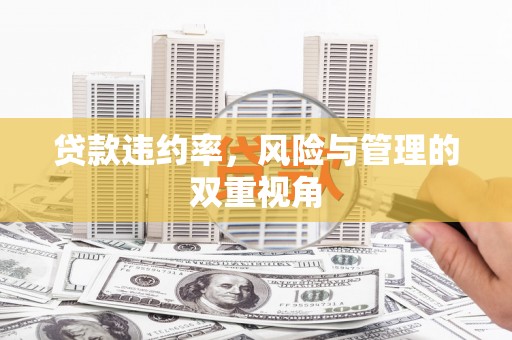 万全贷款违约率，风险与管理的双重视角