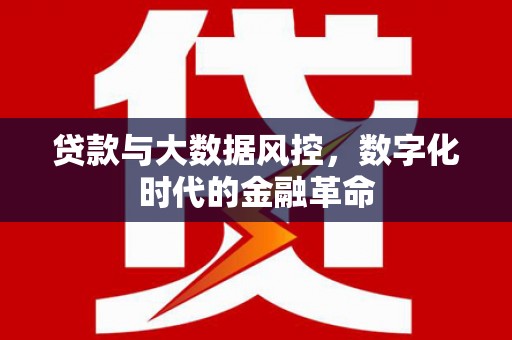 万全贷款与大数据风控，数字化时代的金融革命