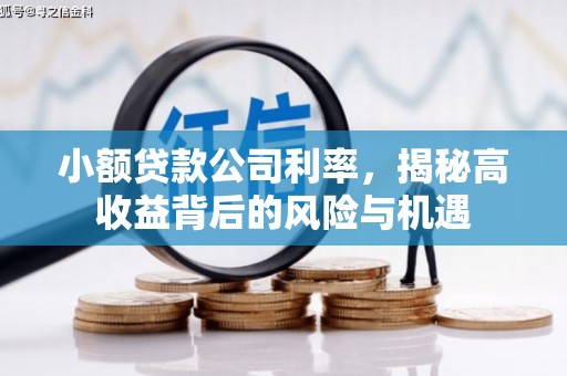 万全小额贷款公司利率，揭秘高收益背后的风险与机遇