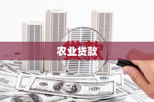 万全农业贷款