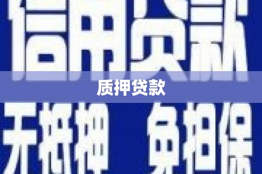 万全质押贷款