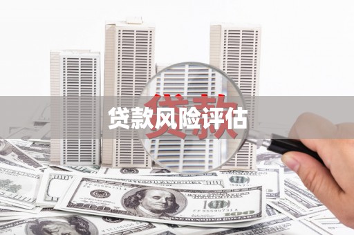 万全贷款风险评估