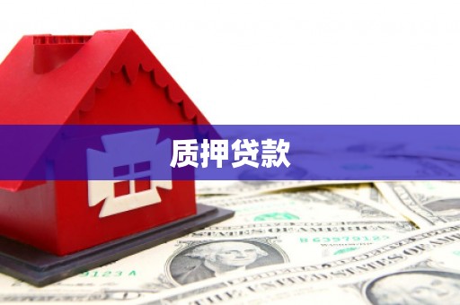 万全质押贷款