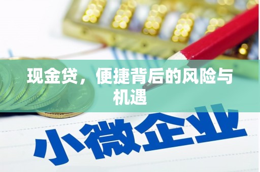 万全现金贷，便捷背后的风险与机遇