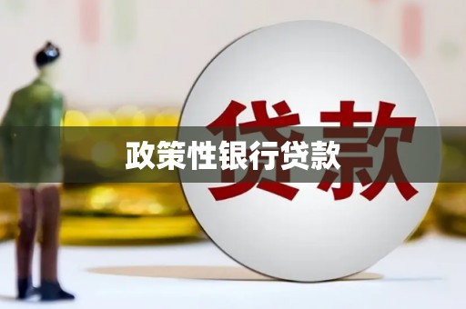 万全政策性银行贷款