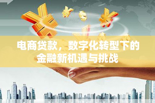 万全电商贷款，数字化转型下的金融新机遇与挑战