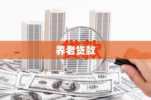 万全养老贷款