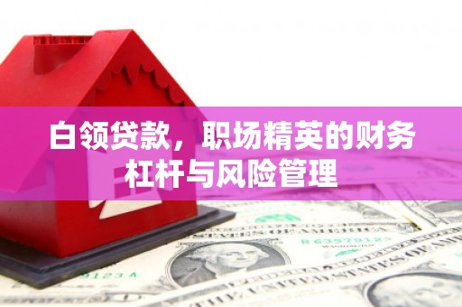 万全白领贷款，职场精英的财务杠杆与风险管理