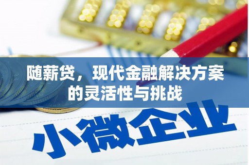 万全随薪贷，现代金融解决方案的灵活性与挑战