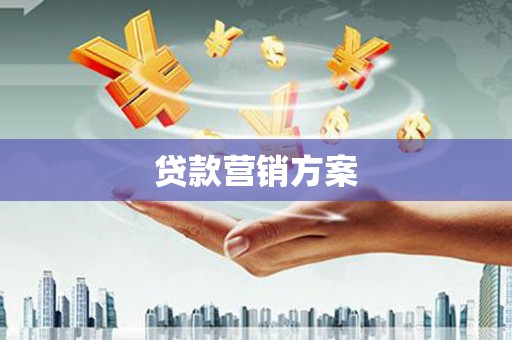 万全贷款营销方案