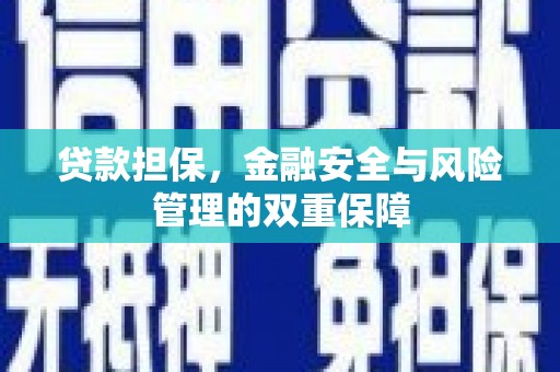 万全贷款担保，金融安全与风险管理的双重保障