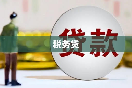 万全税务贷