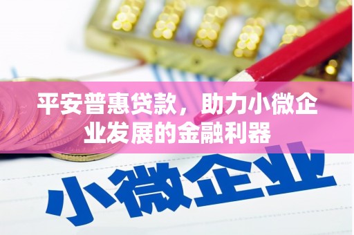万全平安普惠贷款，助力小微企业发展的金融利器