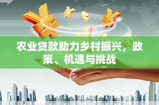 万全农业贷款助力乡村振兴，政策、机遇与挑战