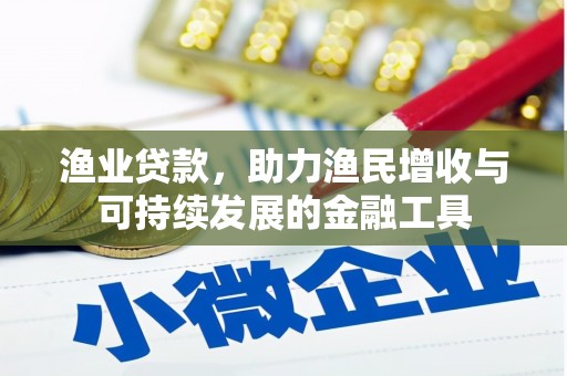 万全渔业贷款，助力渔民增收与可持续发展的金融工具