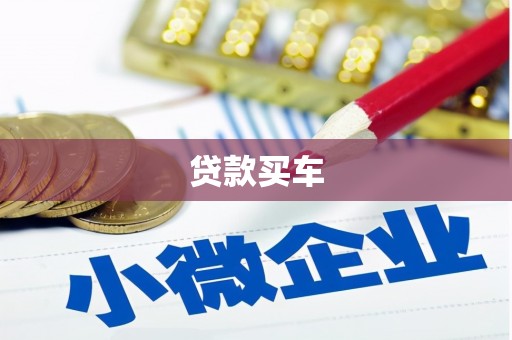 万全贷款买车