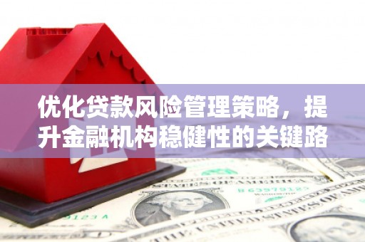 万全优化贷款风险管理策略，提升金融机构稳健性的关键路径