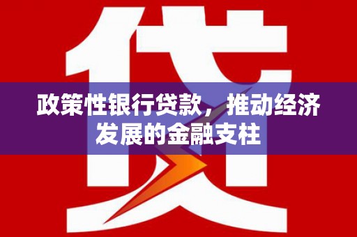 万全政策性银行贷款，推动经济发展的金融支柱