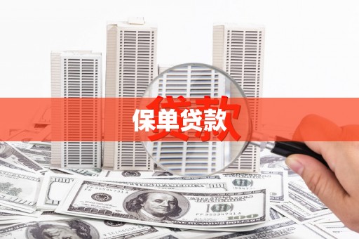 万全保单贷款