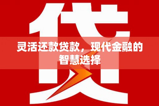 万全灵活还款贷款，现代金融的智慧选择