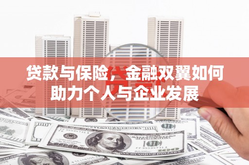 万全贷款与保险，金融双翼如何助力个人与企业发展
