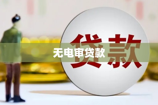万全无电审贷款