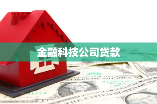 万全金融科技公司贷款