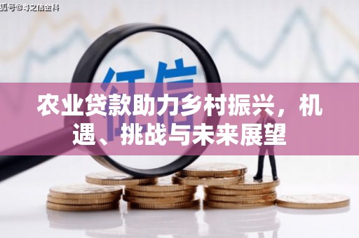 万全农业贷款助力乡村振兴，机遇、挑战与未来展望