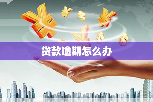万全贷款逾期怎么办