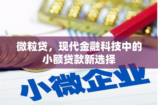 万全微粒贷，现代金融科技中的小额贷款新选择