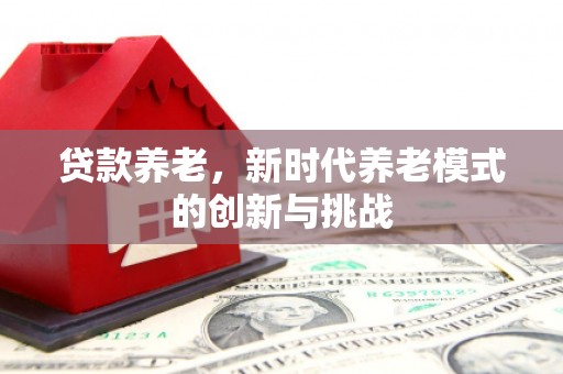万全贷款养老，新时代养老模式的创新与挑战