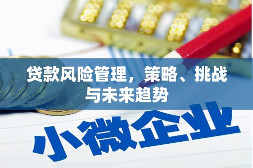 万全贷款风险管理，策略、挑战与未来趋势