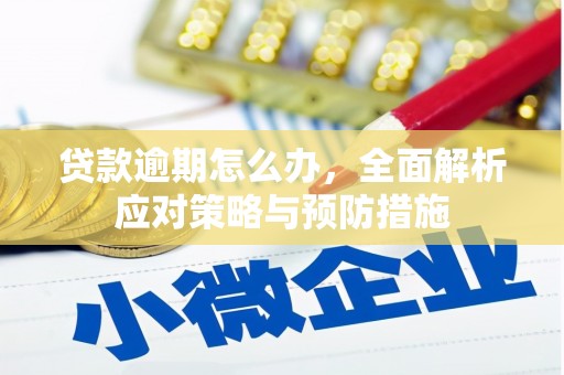 万全贷款逾期怎么办，全面解析应对策略与预防措施