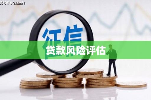 万全贷款风险评估