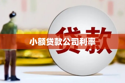万全小额贷款公司利率