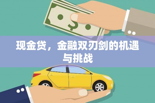 万全现金贷，金融双刃剑的机遇与挑战