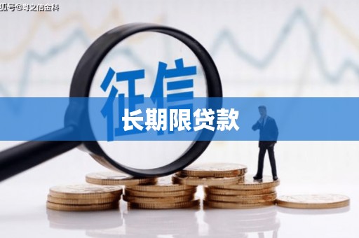 万全长期限贷款
