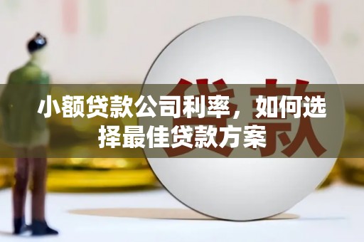 万全小额贷款公司利率，如何选择最佳贷款方案