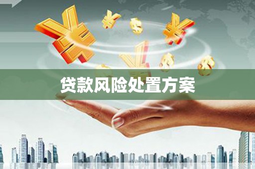 万全贷款风险处置方案