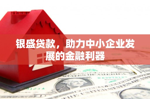 万全银盛贷款，助力中小企业发展的金融利器