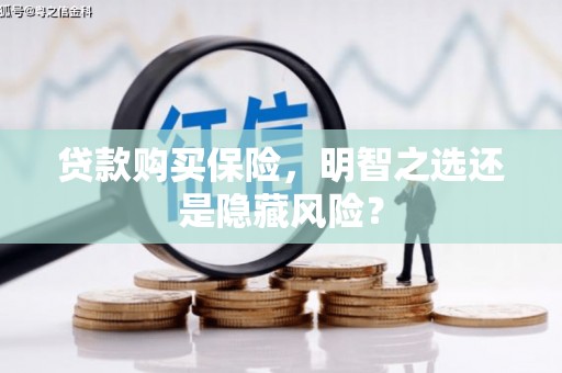 万全贷款购买保险，明智之选还是隐藏风险？