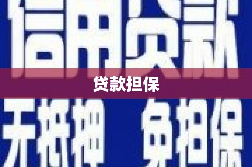 万全贷款担保
