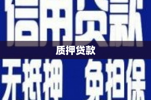 万全质押贷款