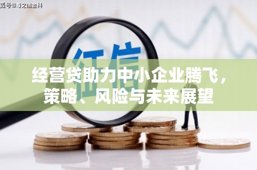 万全经营贷助力中小企业腾飞，策略、风险与未来展望