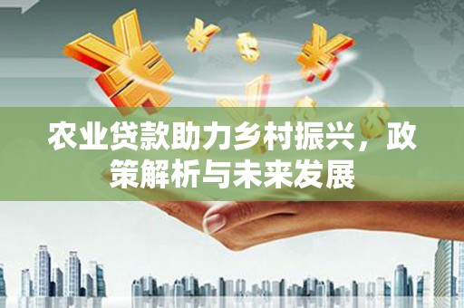 万全农业贷款助力乡村振兴，政策解析与未来发展