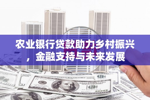 万全农业银行贷款助力乡村振兴，金融支持与未来发展