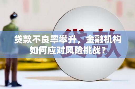 万全贷款不良率攀升，金融机构如何应对风险挑战？